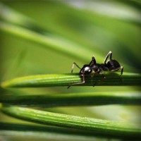 /album/uloz-to-info/photolia-a05-jpg/