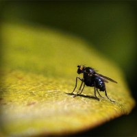 /album/uloz-to-info/photolia-a07-jpg/